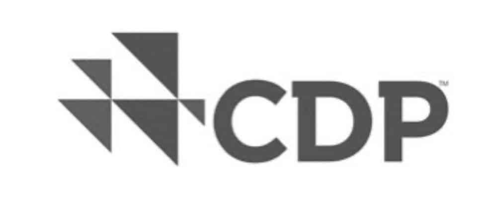 Logo featuring triangles and text