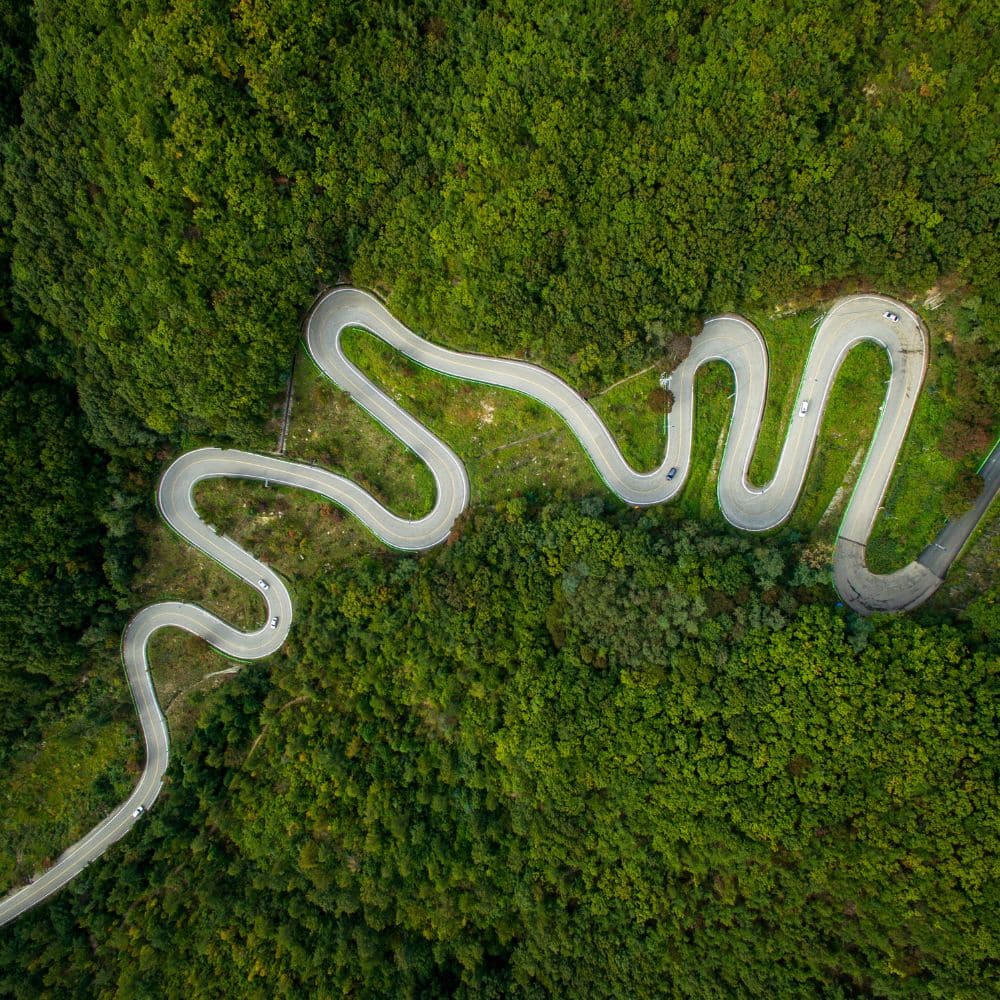 Winding road through lush green forest