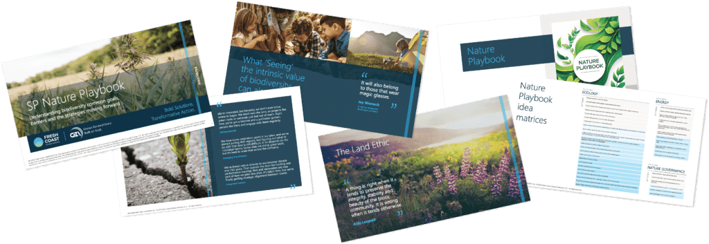 Nature Playbook presentation slides collage